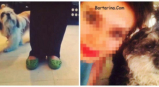 فیلم دستگیری مرسده ملکشاهی دختر متهم به سگ آزاری + عکس