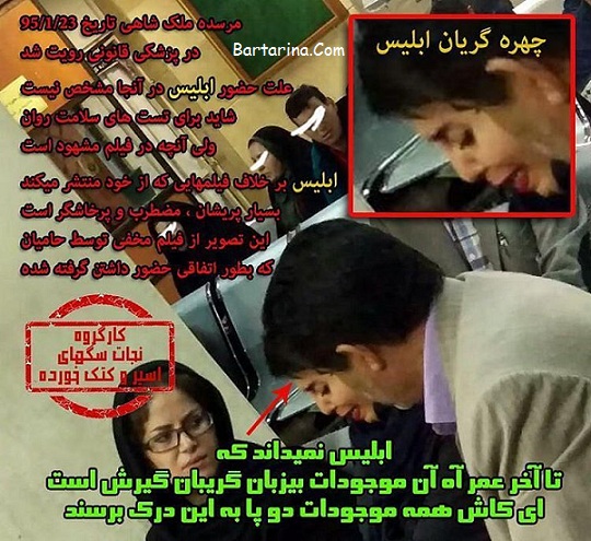 فیلم دستگیری مرسده ملکشاهی دختر متهم به سگ آزاری + عکس