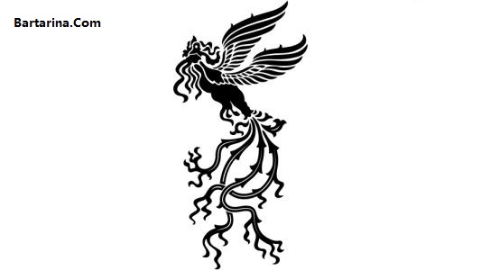 فیلم مراسم اختتامیه جشنواره فیلم فجر امشب 21 بهمن 95