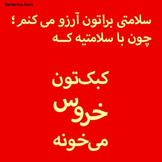 اس ام اس خنده دار تبریک سال خروس عید نوروز 96 + عکس نوشته