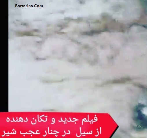 فیلم جدید سیل مرگبار در روستای چنار عجب شیر آذربایجان
