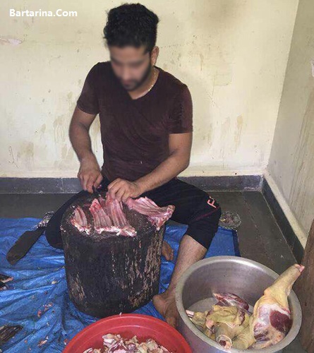 خوردن گوشت سگ در منطقه لشکرآباد اهواز + عکس