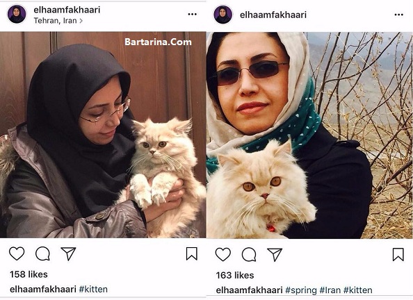 عکس گربه الهام فخاری نماینده مردم شورای شهر تهران با حیوانات
