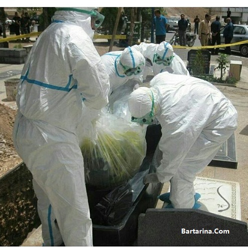 آخرین آمار کشته های تب کریمه کنگو در شیراز 30 خرداد 96