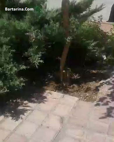 فیلم برخورد گشت ارشاد به دختر بدحجاب در مترو حقانی تهران