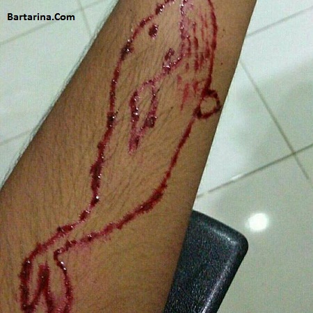 همه چیز درباره فیلیپ بودکین مخترع بازی نهنگ آبی blue whale