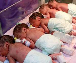 تولد 6 شش قلو های تبریزی از مادری جوان